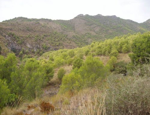 El proyecto urbanístico en el Barranco de la Coladilla incumple normativas y amenaza el patrimonio de Nerja