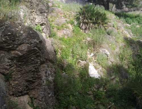 Podemos-IU alerta del estado de abandono en uno de los accesos más transitados al Parque Natural Sierra Almijara